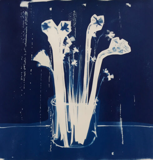 Bouquet I 2019. Cyanotypi on paper. 45 x 45 cm / 17 x 17 inch