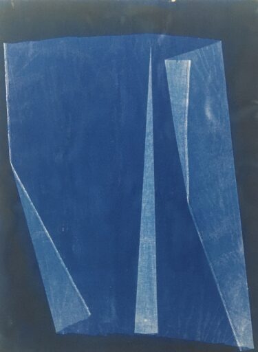 Tarlatan I. Cyanotype Photogram on walnut dyed Fabriano Artistico Paper 300gram 53 inch x 39 inch / 135 cm x 100 cm