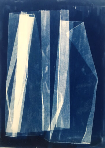 Tarlatan III Cyanotype Photogram on walnut dyed Fabriano Artistico Paper 300gram 53 inch x 39 inch / 135 cm x 100 cm