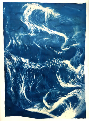 Wave II , Cyanotype Photography, 140 x 100/ 55 x 39 inches , Fabriano Artistico paper 300 gram , edition 1/1, 2020