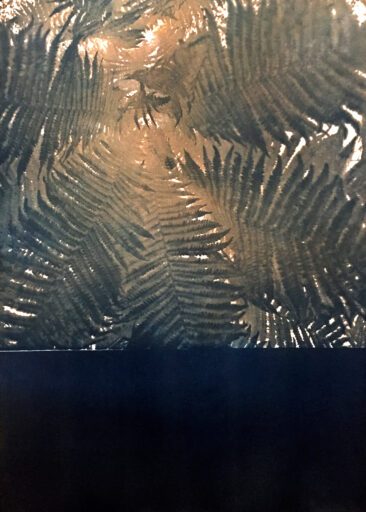 Polypodiopsida II 2019. Cyanotypi on mould made paper 340gram. 50 x 68 cm / 19 x 26 inch 