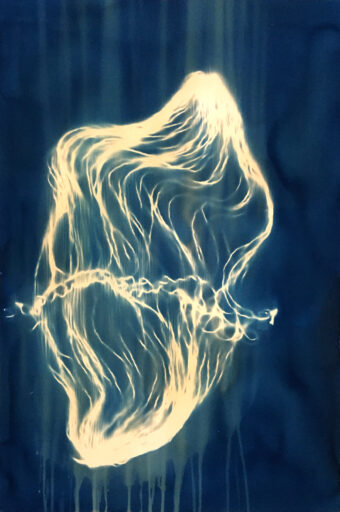 Jellyfish I , Cyanotype Photography on Fabriano Artistico paper 300 gram , 70 x 100 cm / 27 x 39 inches , edition 1/1 2021