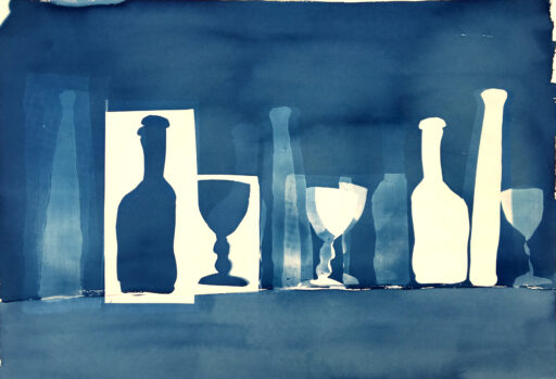 Still life I Cyanotype Photography 